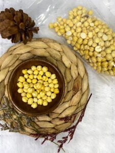 jagung arab berkualitas premium
