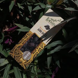 kurma premium asli arab