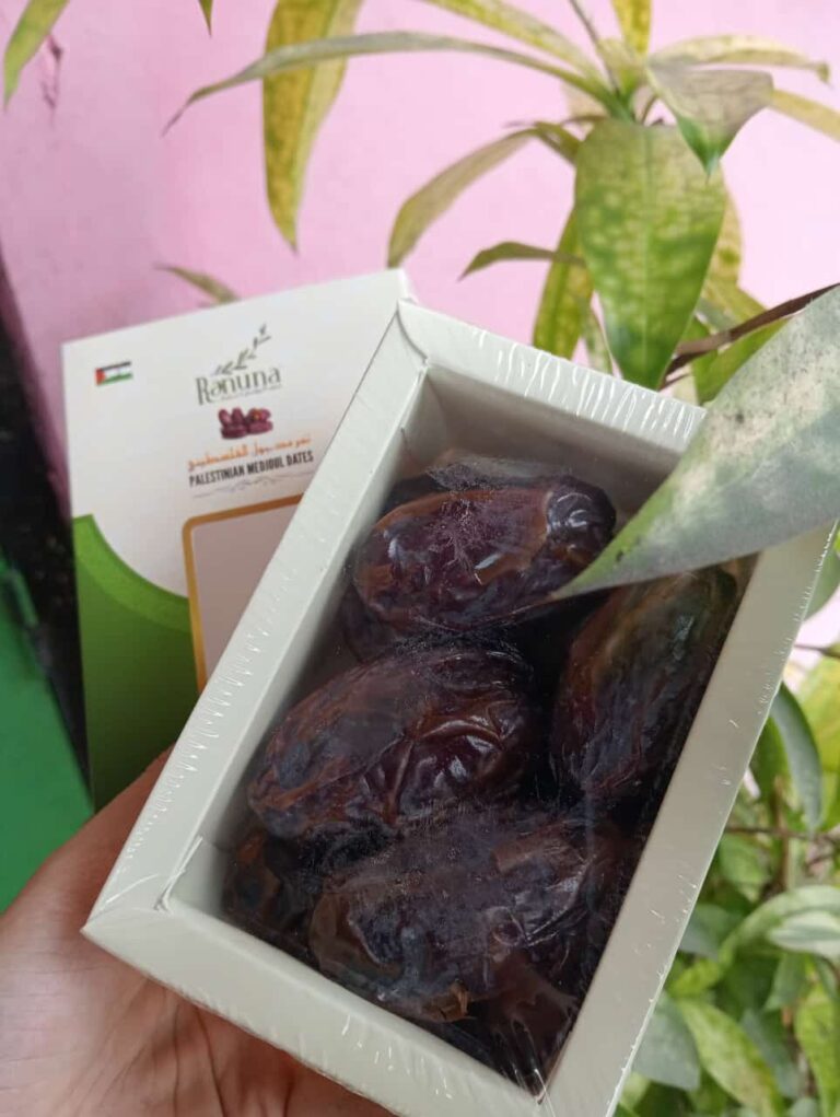 Kurma Medjool Jumbo: Si Raja Kurma Premium dengan Rasa Legit
